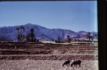 Nepal 1974